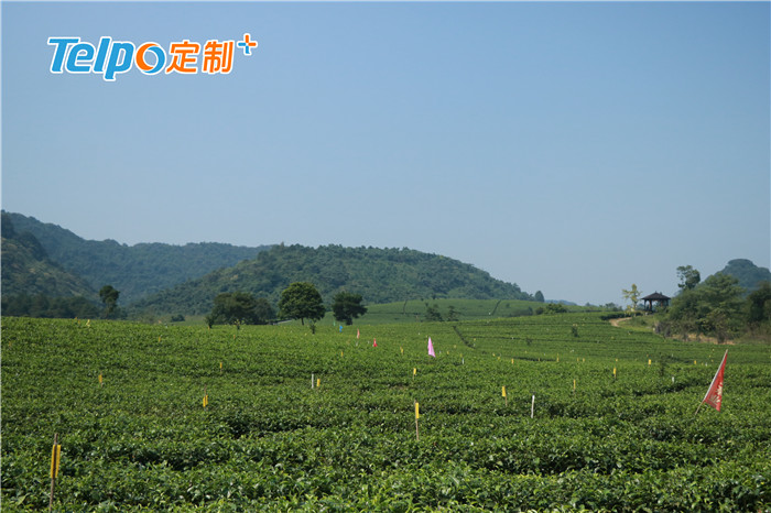 积庆里茶场.jpg